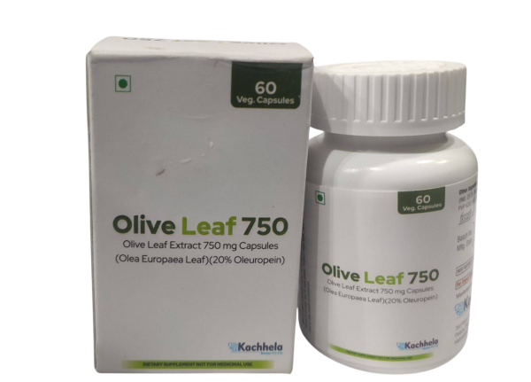 올리브 잎 750(콜레스테롤 개선 olive leaf 추출)-델리샵