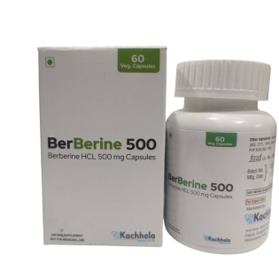 베르베린 500(매자열매 추출물 BerBerine)-델리샵