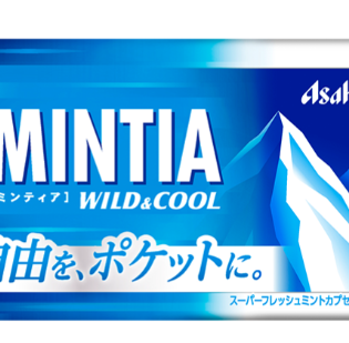 민티아 와일드 앤드 쿨