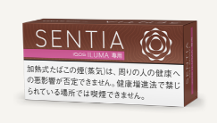 센티아 딥 브론즈 1보루