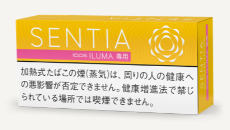 센티아 밸런스드 옐로우 1보루