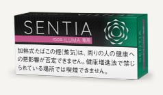 센티아 아이시 블랙 1보루