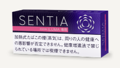 센티아 아이시 퍼플 1보루