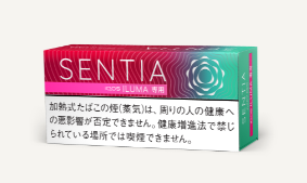 센티아 쥬시 레드 1보루