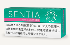 센티아 쿨 제이드 1보루