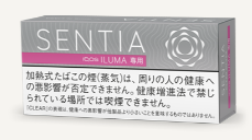 센티아 클리어 실버 1보루