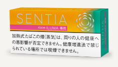 센티아 트로피칼 옐로우