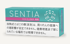 센티아 후레쉬 에메랄드 1보루