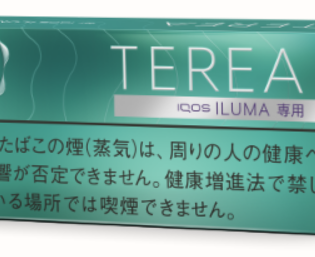 테리아 멘솔 1보루