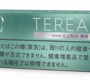 테리아 민트 1보루