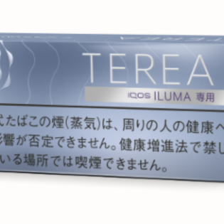 테리아 밸런스 레귤러 1보루