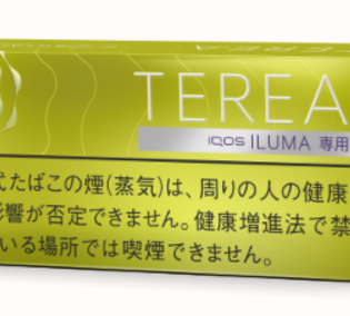 테리아 브라이트 멘솔 1보루