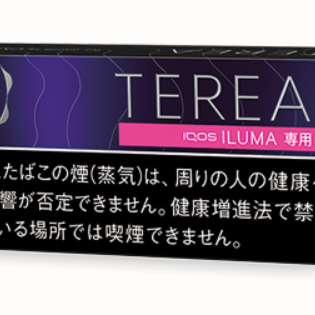 테리아 블랙 퍼플 멘솔 1보루