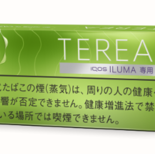 테리아 옐로 멘솔 1보루