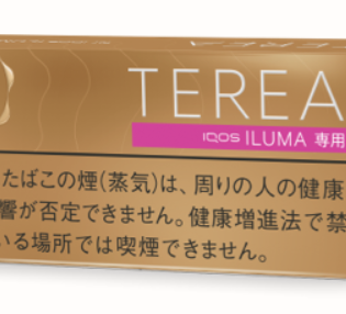 테리아 웜 레귤러 1보루