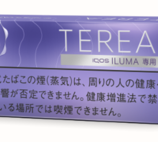 테리아 퍼플 멘솔 1보루