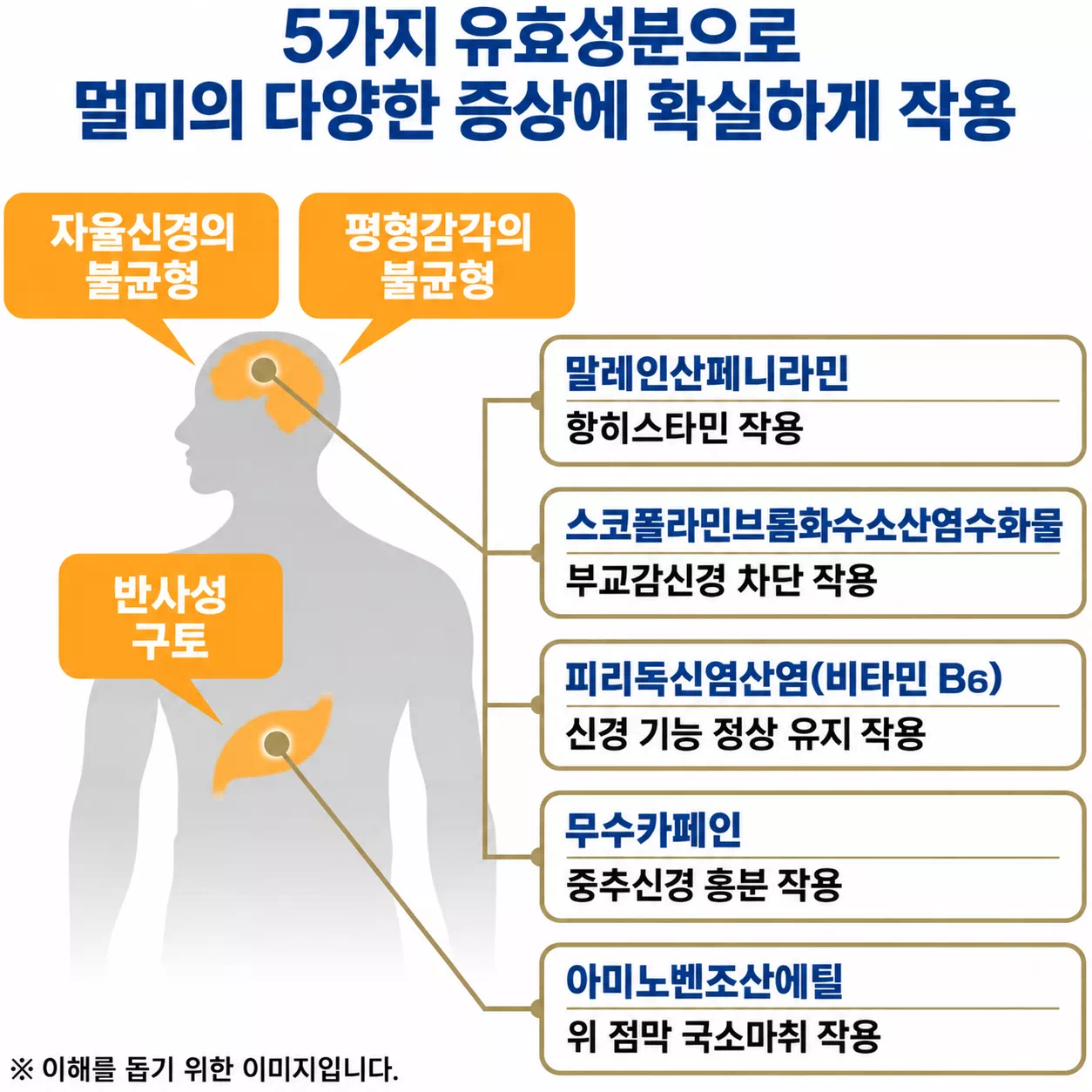 아네론 니스캡 상세설명 포스트2