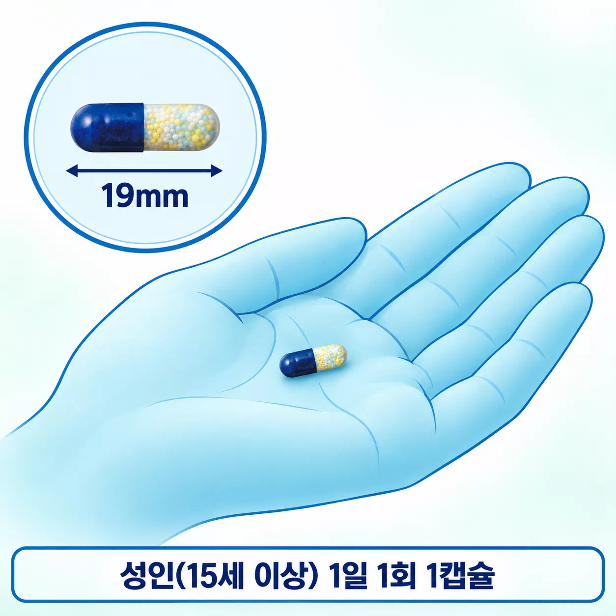 아네론 니스캡 상세설명 포스트5