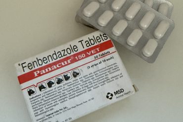 반려동물 구충제 펜벤다졸-정보글-델리샵 (3)