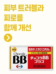 쇼콜라 BB 플러스 60정 2개 세트 보조배너