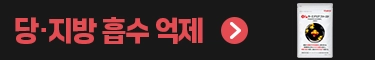 터미나리아 퍼스트 보조배너 이미
